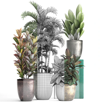 Plant collection 353. luxury, pot, flowerpot, indoor plants, Croton, palm grass, ficus robusta, areca palm — Ver 2