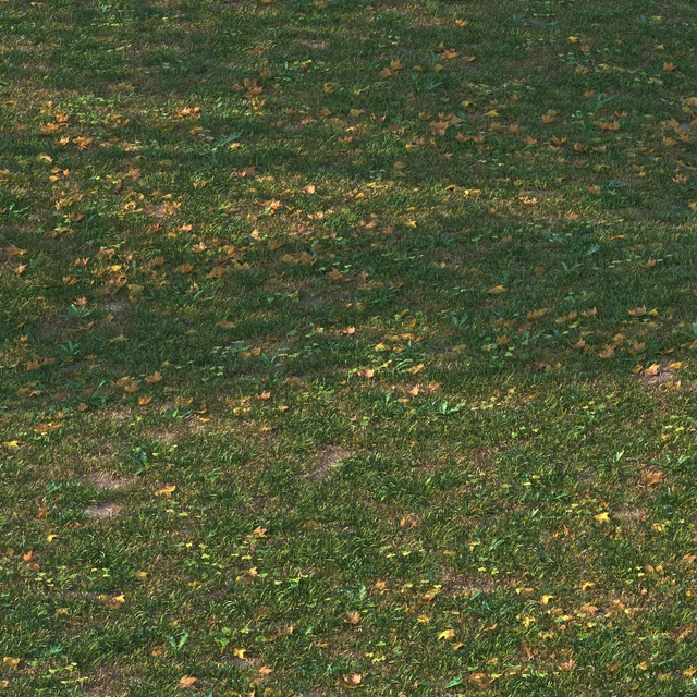 grass set05 with leaves — Descargar