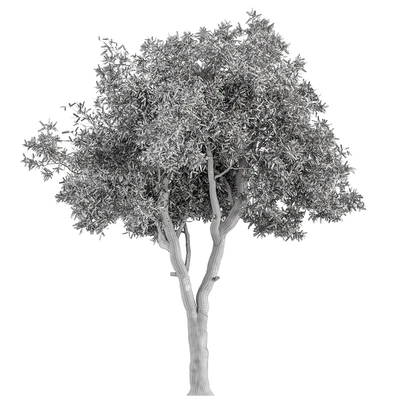 RedGum Tree - Tree Set 175 — Вид 2