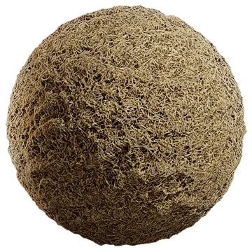 grass dried 016 — Descargar