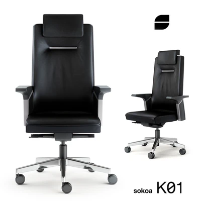 Sokoa K01 — Вид 1