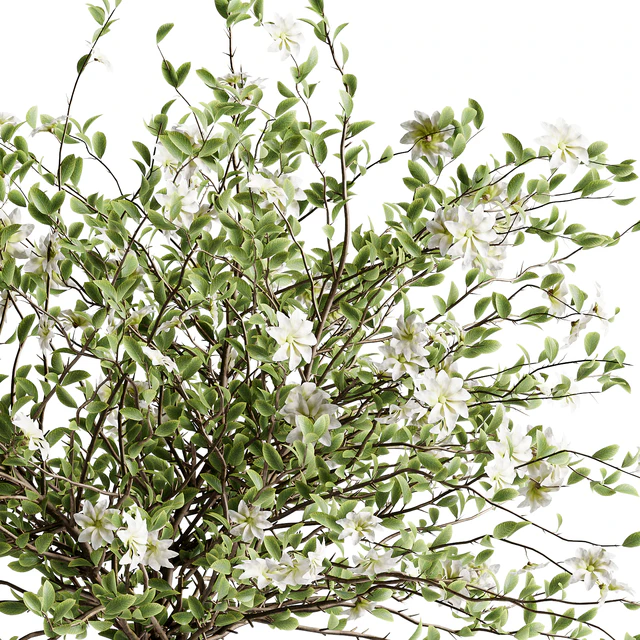A bouquet of tree branches inserted into a celadon ceramic pot — Descargar