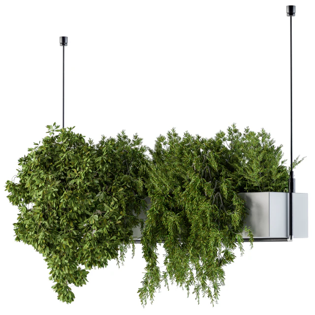 Hanging box plant - Set 70 — Descargar