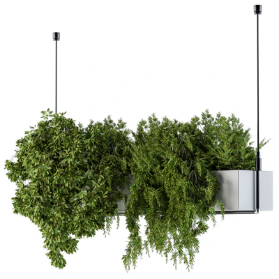 Hanging box plant - Set 70 — Ver 2