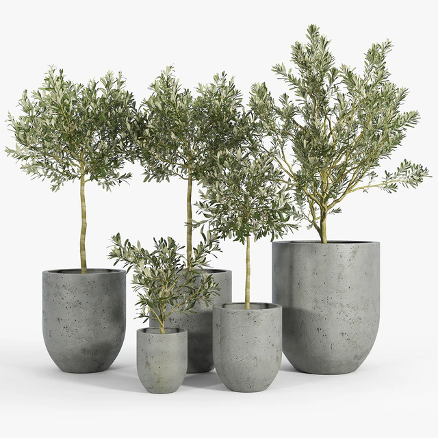 Neo Planter, Extra Small, Lead — Скачать