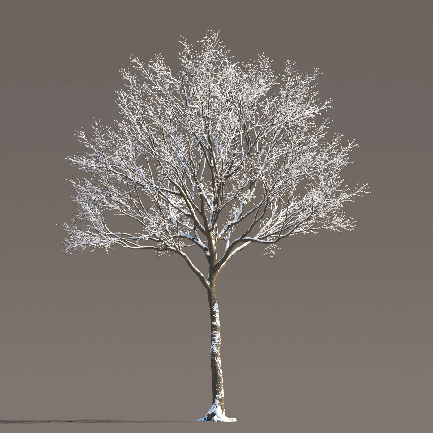 076 winter — Descargar