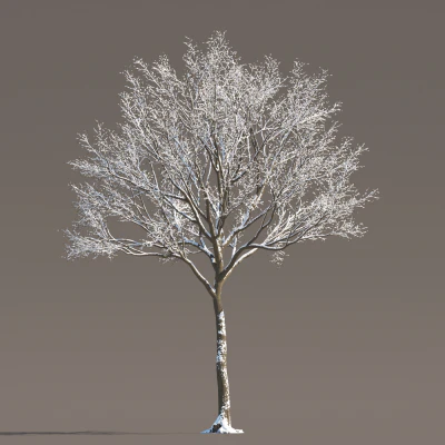 076 winter — Descargar