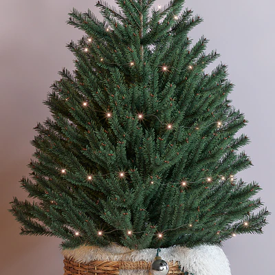 Christmas tree — Ver 2