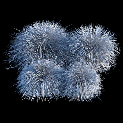 Miscanthus — Ver 2