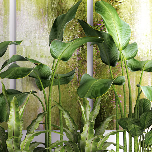 The collection of plants in pots 16. green painting, calathea lutea, asplenium, bushes, pot, flowerpot, concrete — Descargar