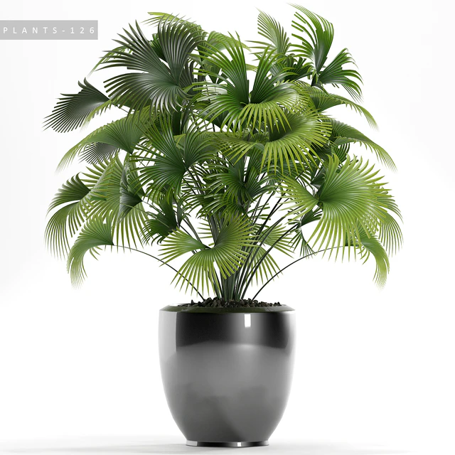 PLANTS 126 — Скачать