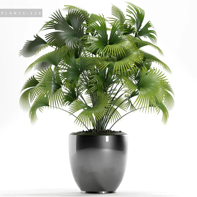 PLANTS 126 — Скачать