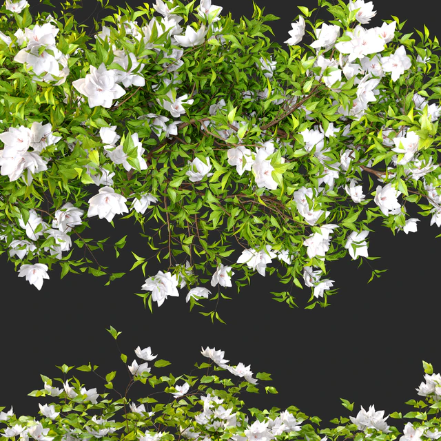 Hanging Plant 15 — Descargar