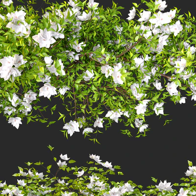 Hanging Plant 15 — Ver 2