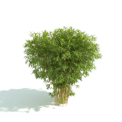 hedges 045 — Descargar