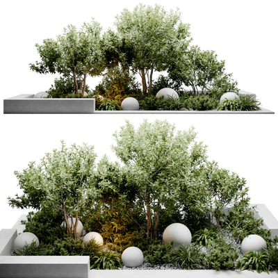 Outdoor Plants — Вид 1