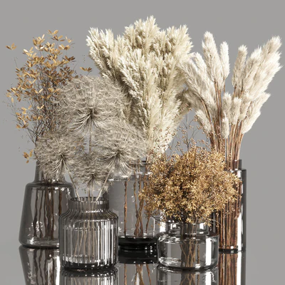 Collection Dry Plants Bouquet Indoor 02 — Ver 1