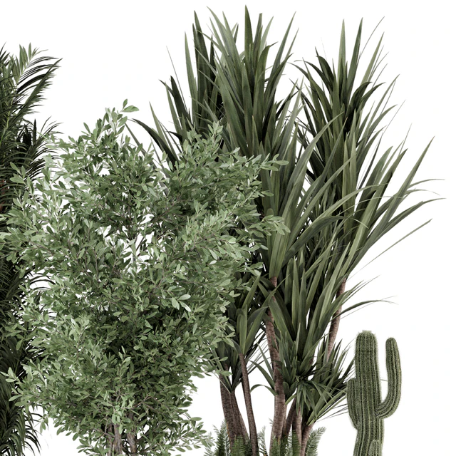 Indoor Plants in Ferm Living Bau Pot Large - Set 362 — Скачать
