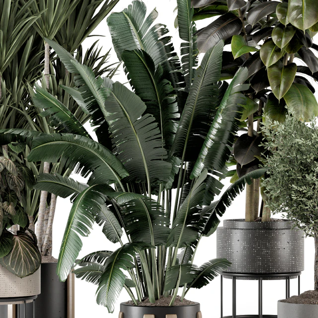 Indoor Plants in Ferm Living Bau Pot Large - Set 1351 — Скачать