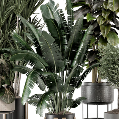 Indoor Plants in Ferm Living Bau Pot Large - Set 1351 — Вид 2