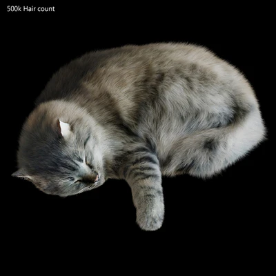 Cat Corona — Ver 2