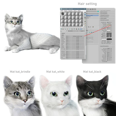 Relaxing cat 1 — View 2