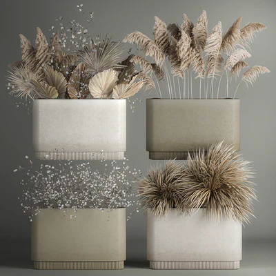 Collection of plant bouquets of dried flowers, moonflower, dry palm branches, dry grass, natural decor .1121. — Ver 1