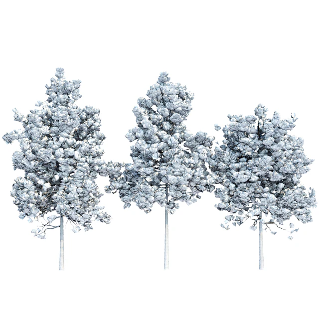 pine trees collection vol 11 — Скачать