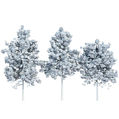pine trees collection vol 11 — Вид 2