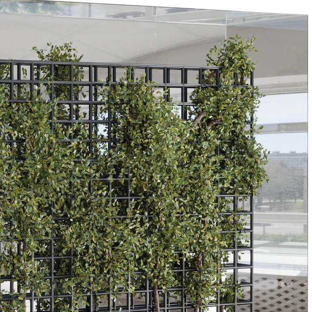 Plants Set Partition In Behind Glass - Ivy Garden Wall Decor Set 116 — Download