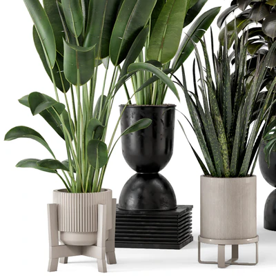 Indoor Plants in Ferm Living Bau Pot Large - Set 583 — Вид 2