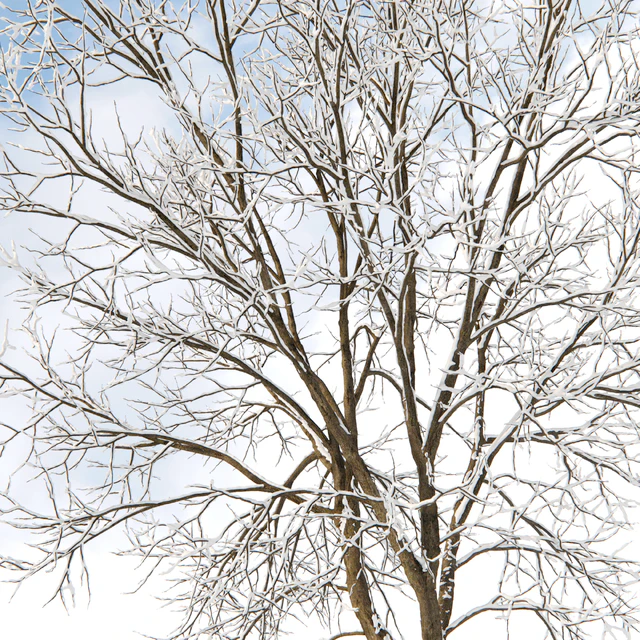 Ash winter — Descargar