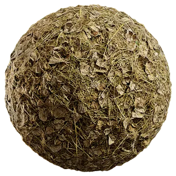 fallen leaves and grass 002 — Скачать