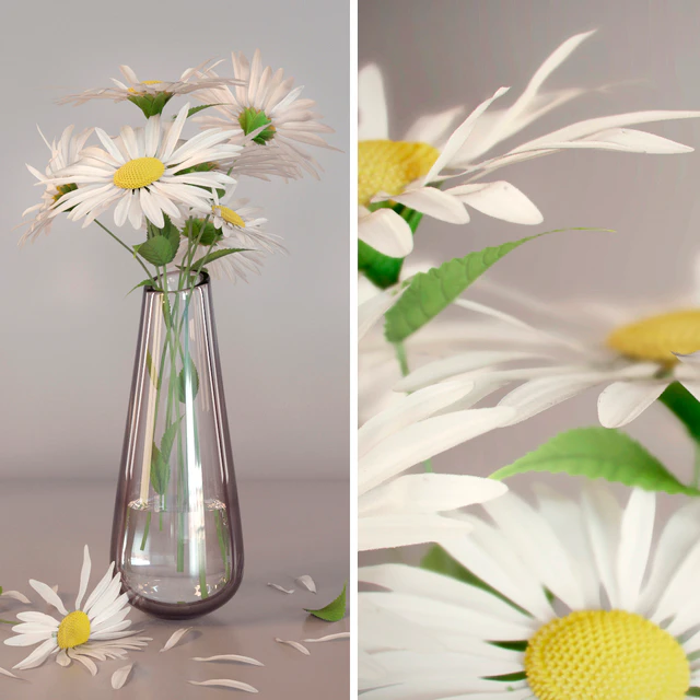 Daisies — Descargar