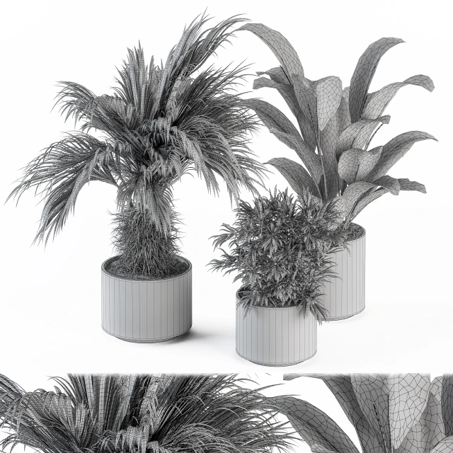 indoor Plant Set 256 - Plant Set in pot — Descargar