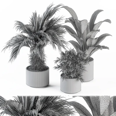 indoor Plant Set 256 - Plant Set in pot — Ver 2