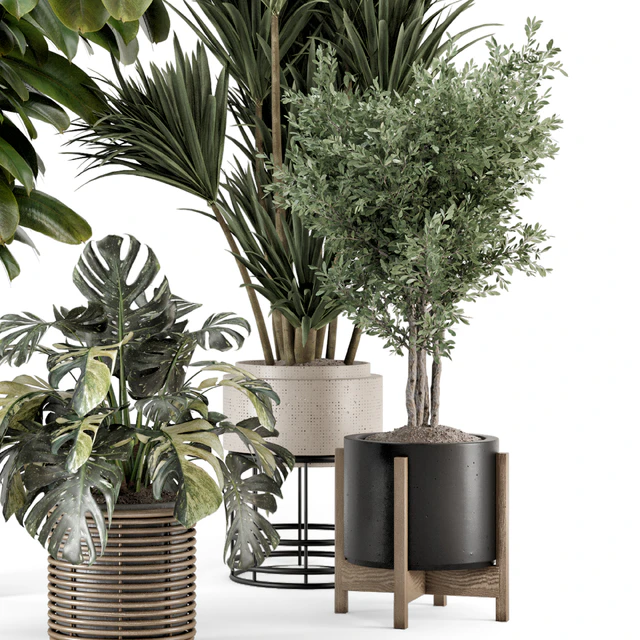Indoor Plants in Ferm Living Bau Pot Large - Set 1328 — Descargar