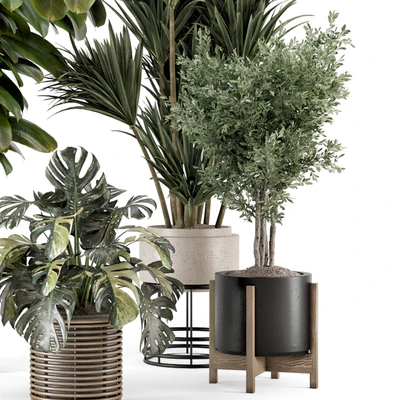 Indoor Plants in Ferm Living Bau Pot Large - Set 1328 — Ver 2