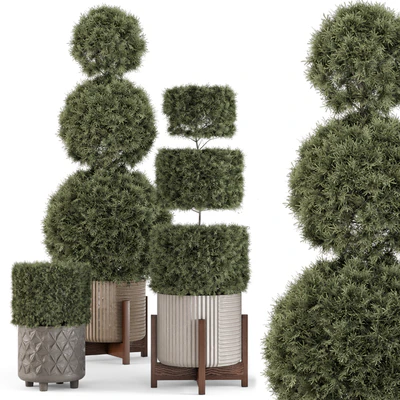 Outdoor Pine Plants  in Concrete Pot - Set 522 — Вид 2