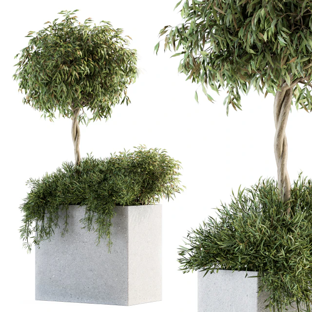 Outdoor Plant Set 172 - Plant Box tree — Скачать