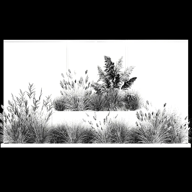 Collection of flowerbed plants and bushes with grass for landscaping, pampas grass, cortaderia and white reeds. 1126. — Descargar
