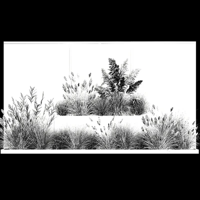 Collection of flowerbed plants and bushes with grass for landscaping, pampas grass, cortaderia and white reeds. 1126. — Ver 2