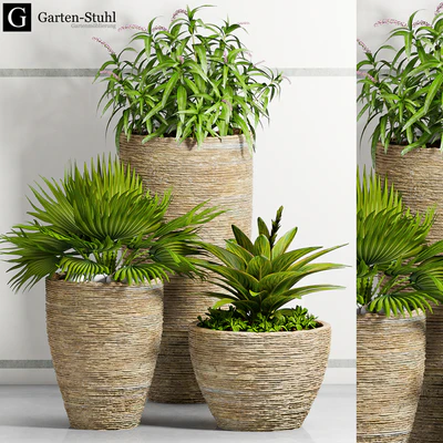PLANT -37 — Вид 1