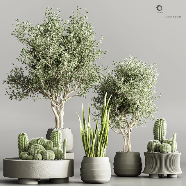 Cactus & plant vol 02 — Descargar