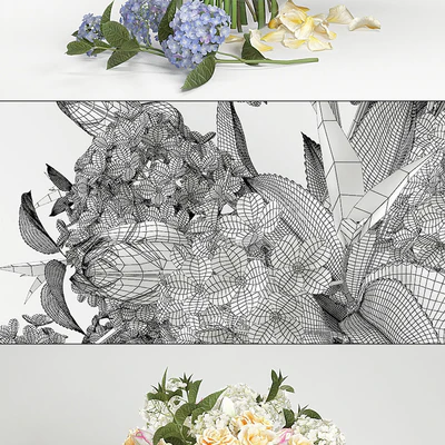 Hydrangea flowers — Ver 2