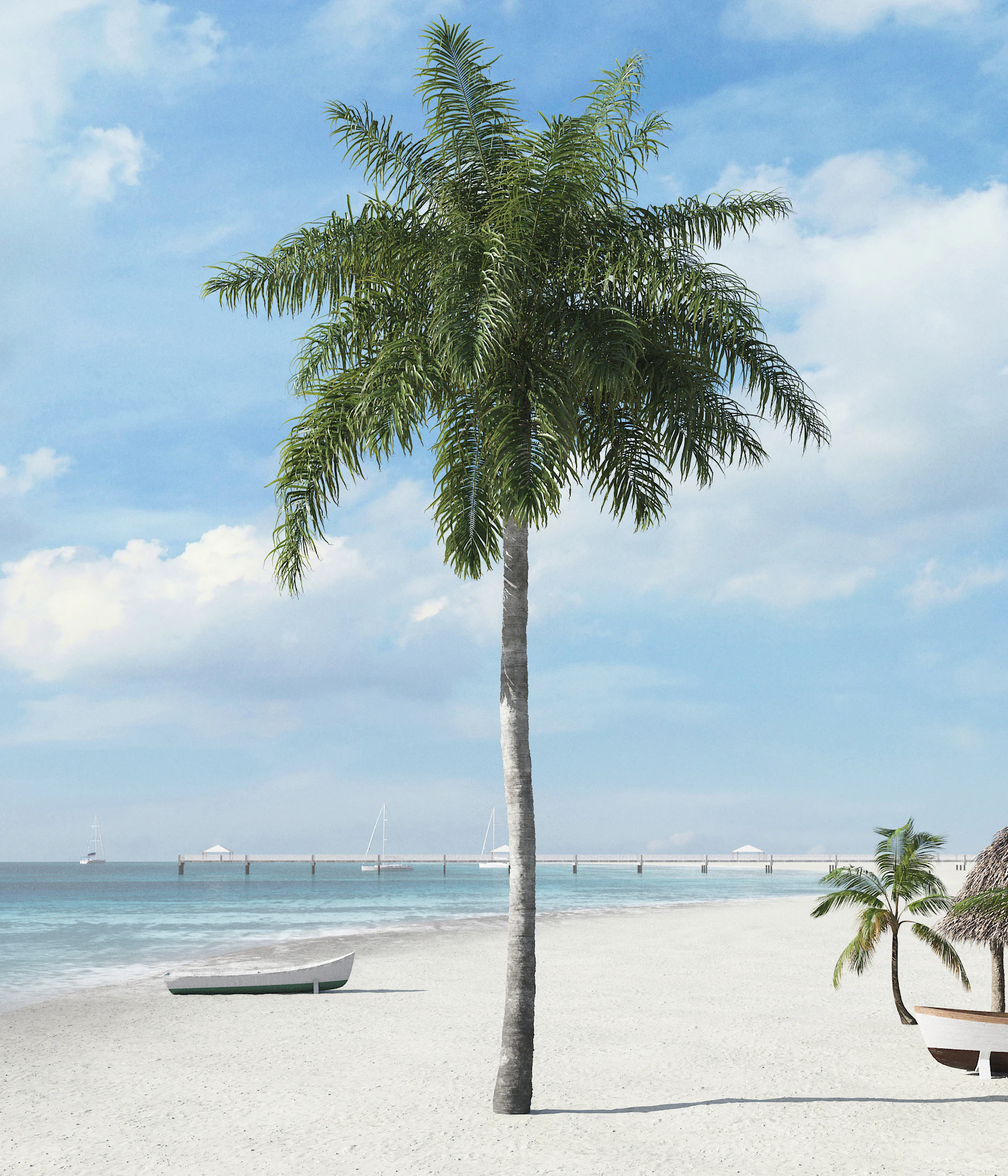 palm trees 021 — Descargar