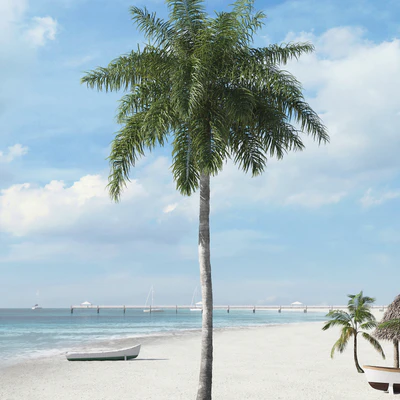 palm trees 021 — Descargar