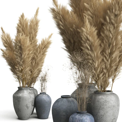 Decorative set of Clay Vases and Pampas Grass — Ver 2