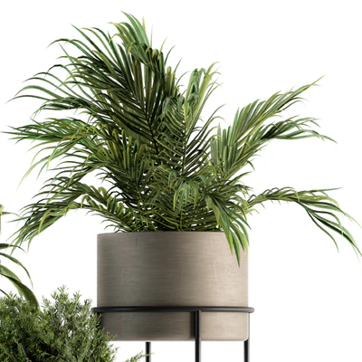 indoor Plant Set 129 - Plant Stand — Вид 2