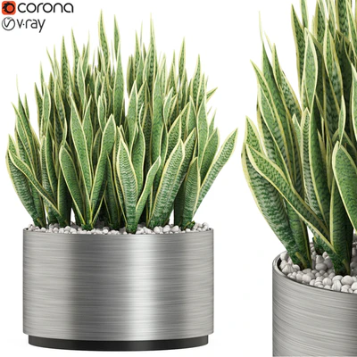 Plants collection 507 — Ver 1